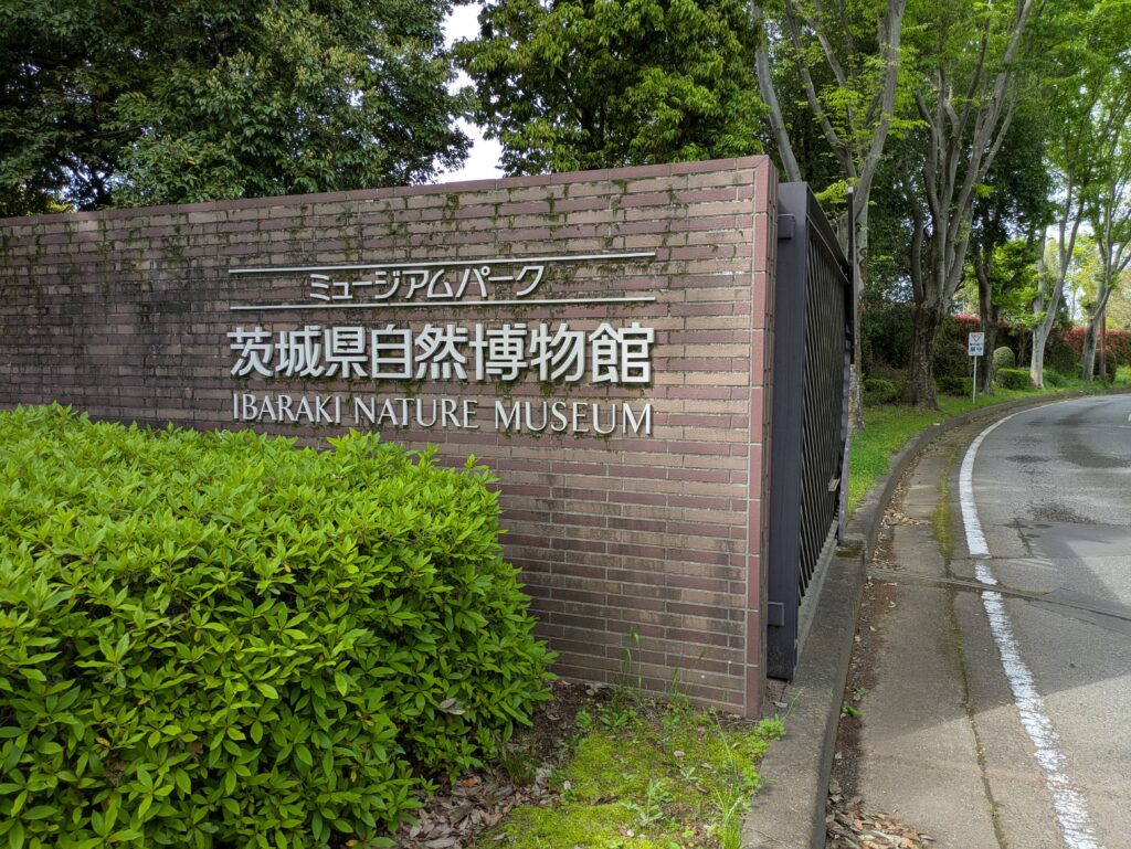 ミュージアムパーク茨城県自然博物館を筆者が撮影。